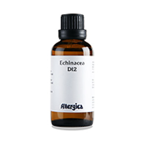 Image of Echinacea D12 50 ml fra Allergica