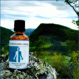 Image of Hothyrosin comp. 50 ml fra Holistica-Medica