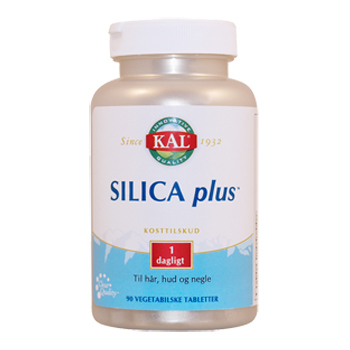 Image of Silica Plus 90 tab