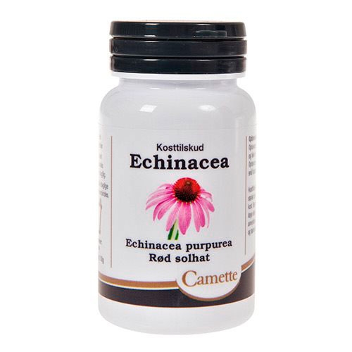 Image of Echinacea 90tab