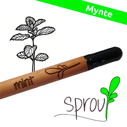 Image of Sprout (Mint)